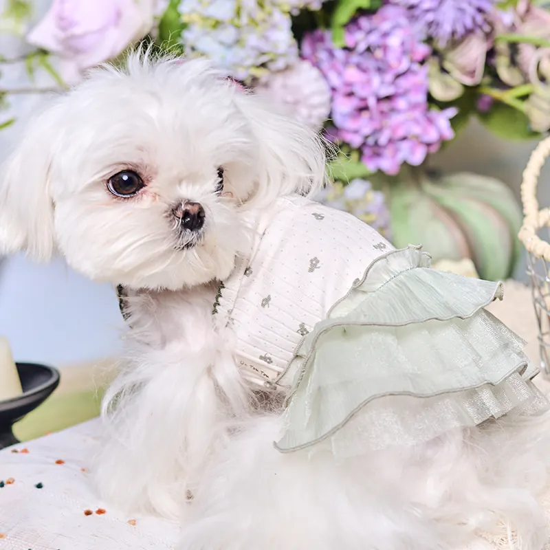 Ditsy Floral Pet Dress · UT261133 product view 2