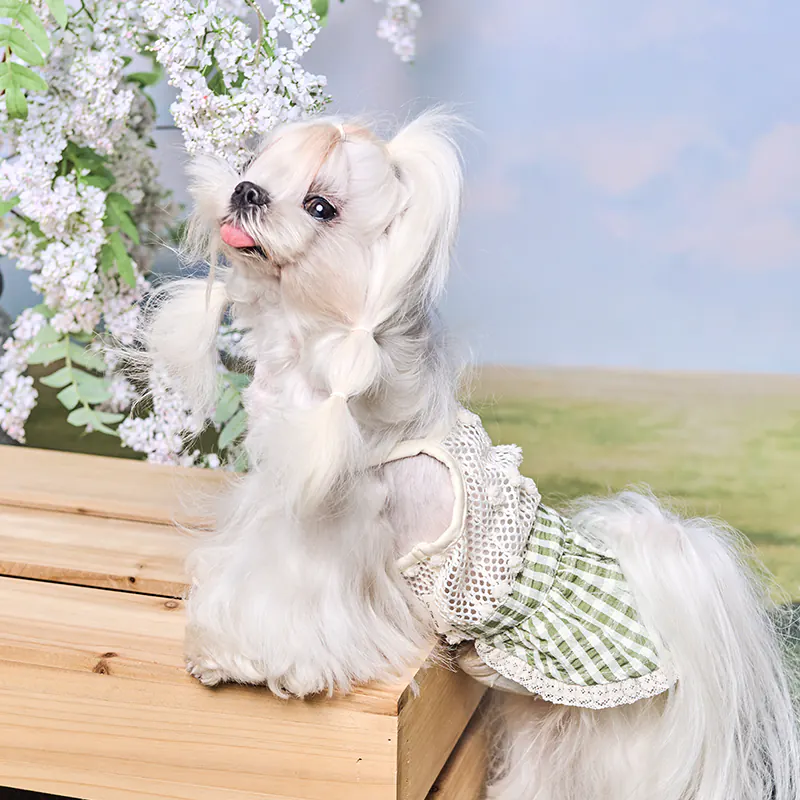 Pet Dress · UT261139 product view