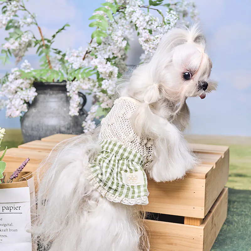 Pet Dress · UT261139 product view 2