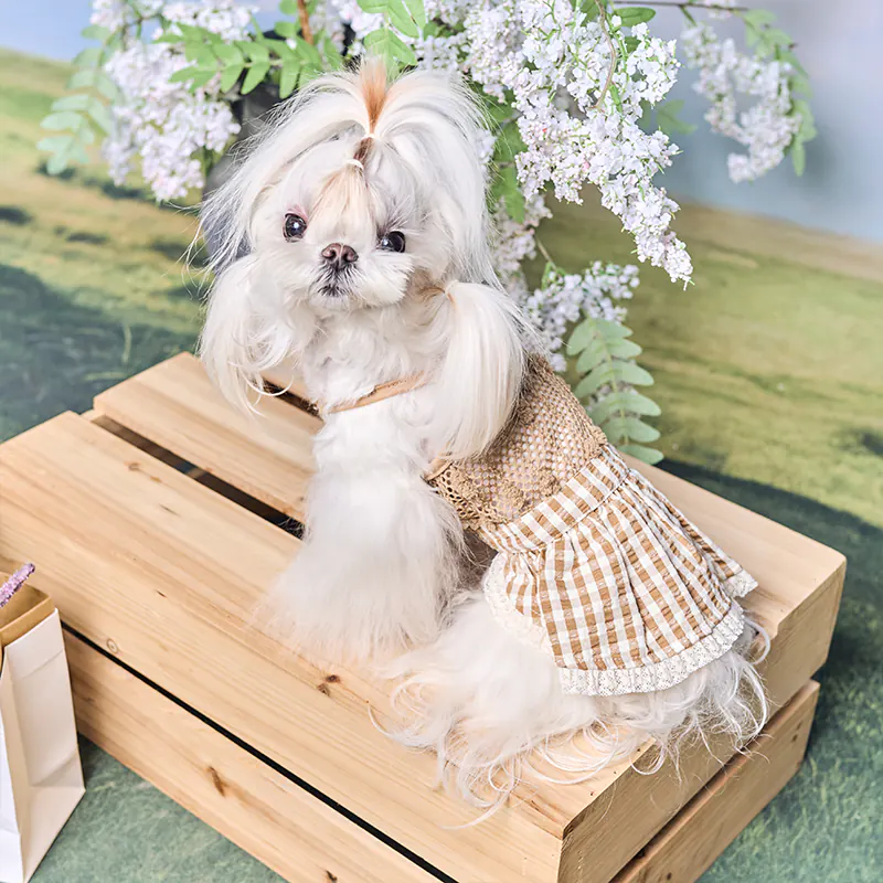 Pet Dress · UT261139 product view 3