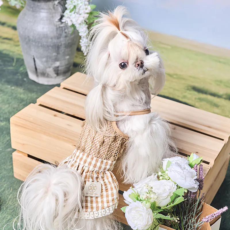Pet Dress · UT261139 product view 4