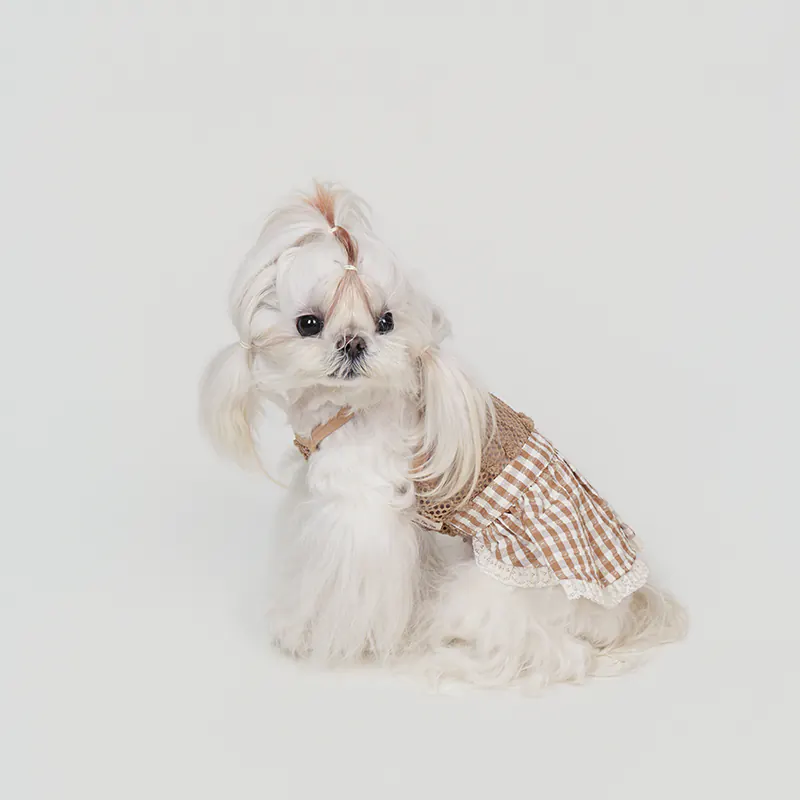 Pet Dress · UT261139 product view 5