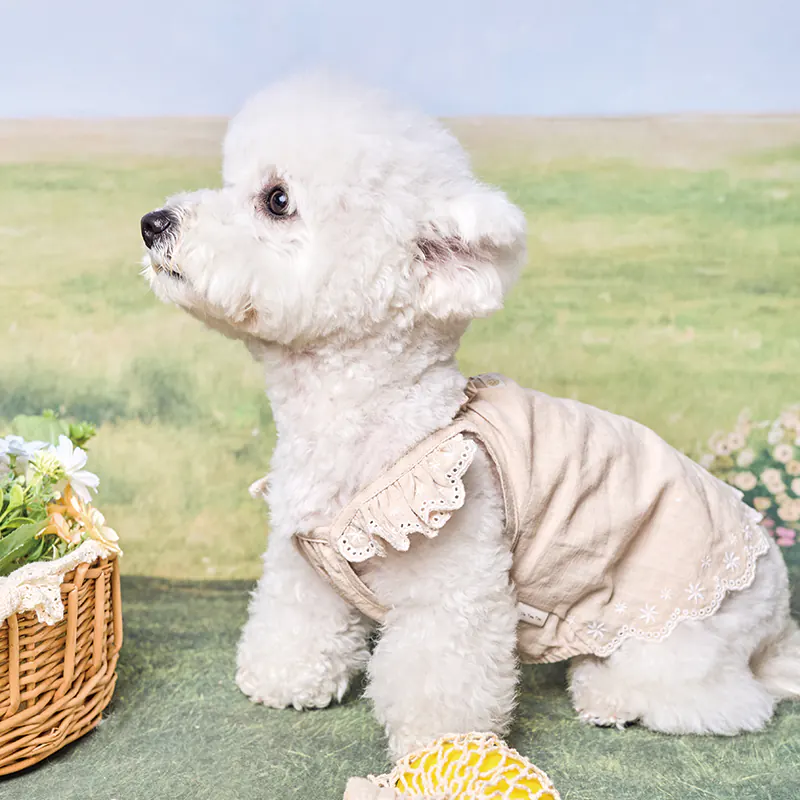 Embroidered Pet Apparel · UT261140 shown in a pet lifestyle setting 2