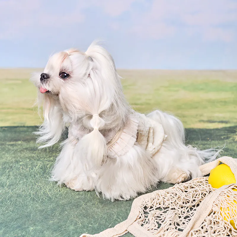 Floral Pet Ball Toy · UT261141 product view 2