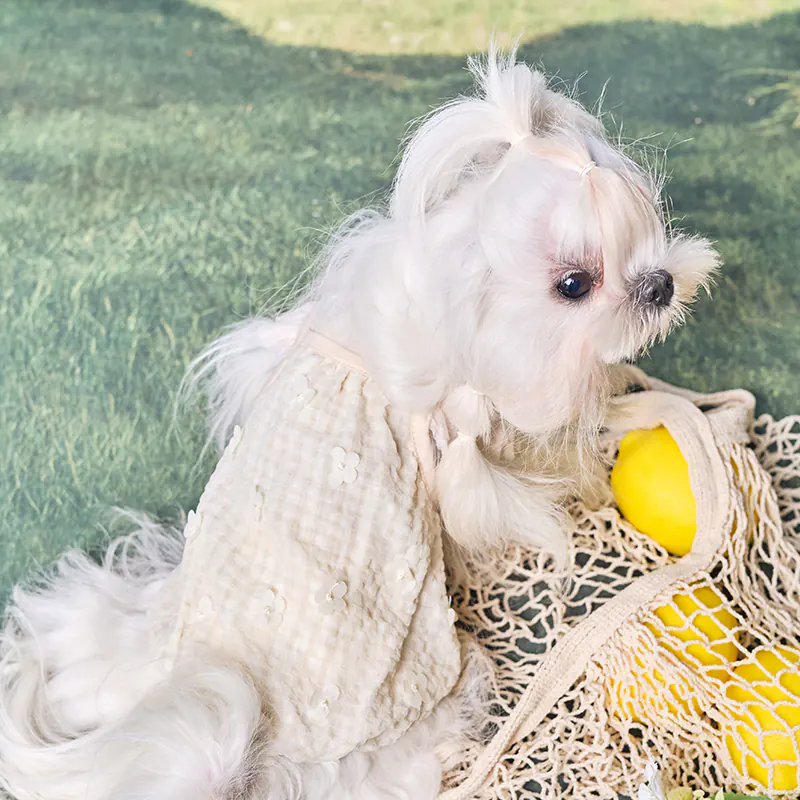 Floral Pet Ball Toy · UT261141 product view 3