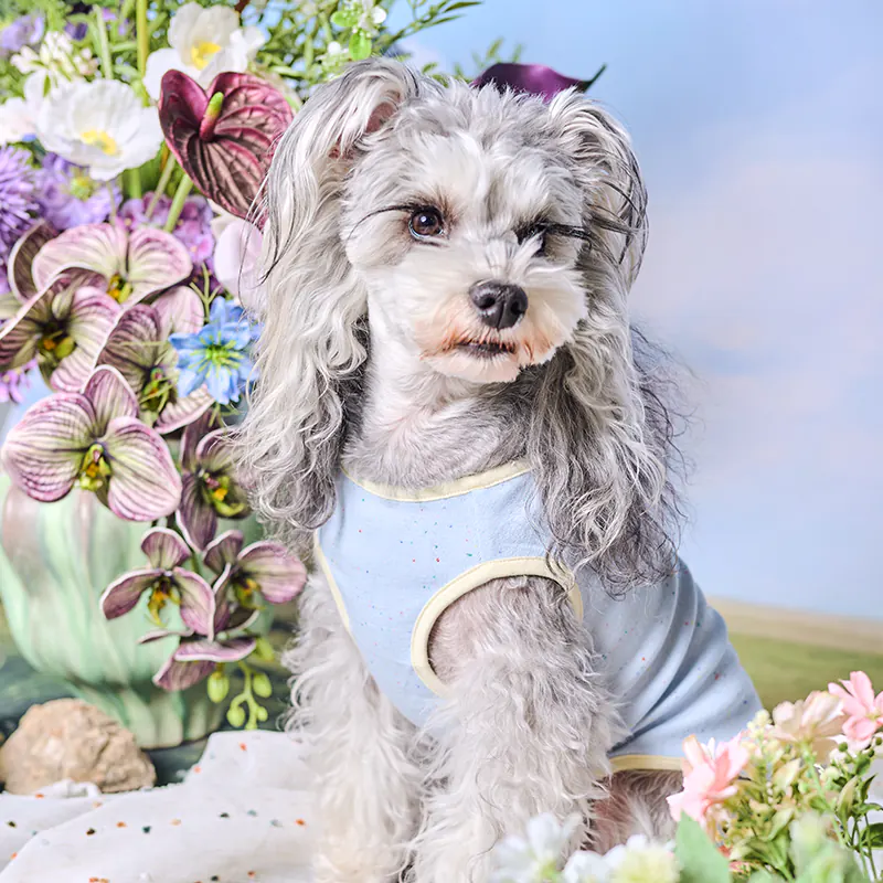 Pet Vest · UT261186 product view