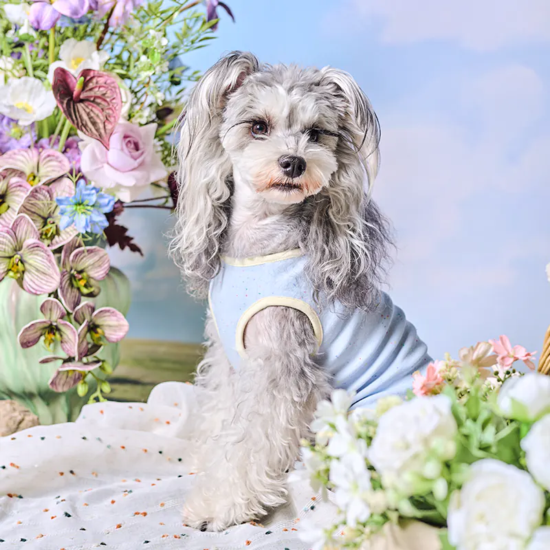 Pet Vest · UT261186 product view 2