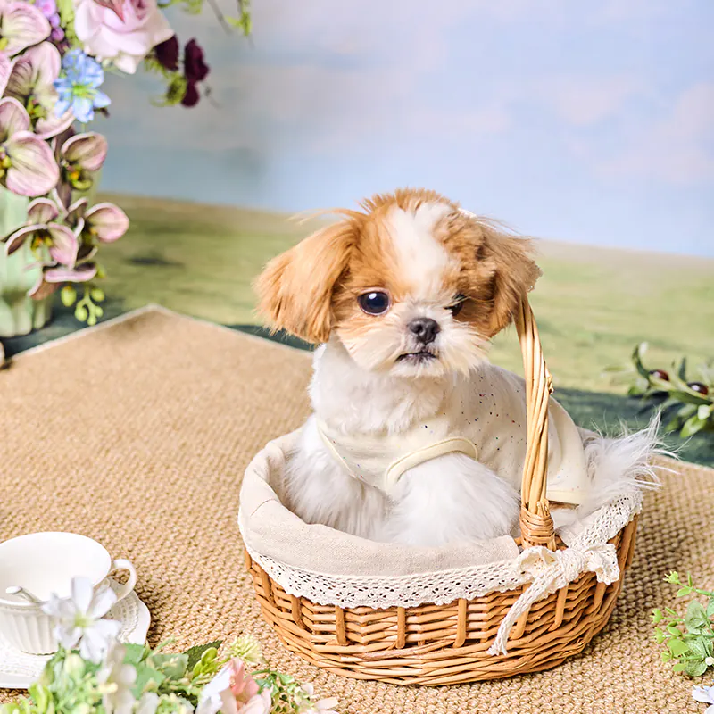 Pet Vest · UT261186 product view 4