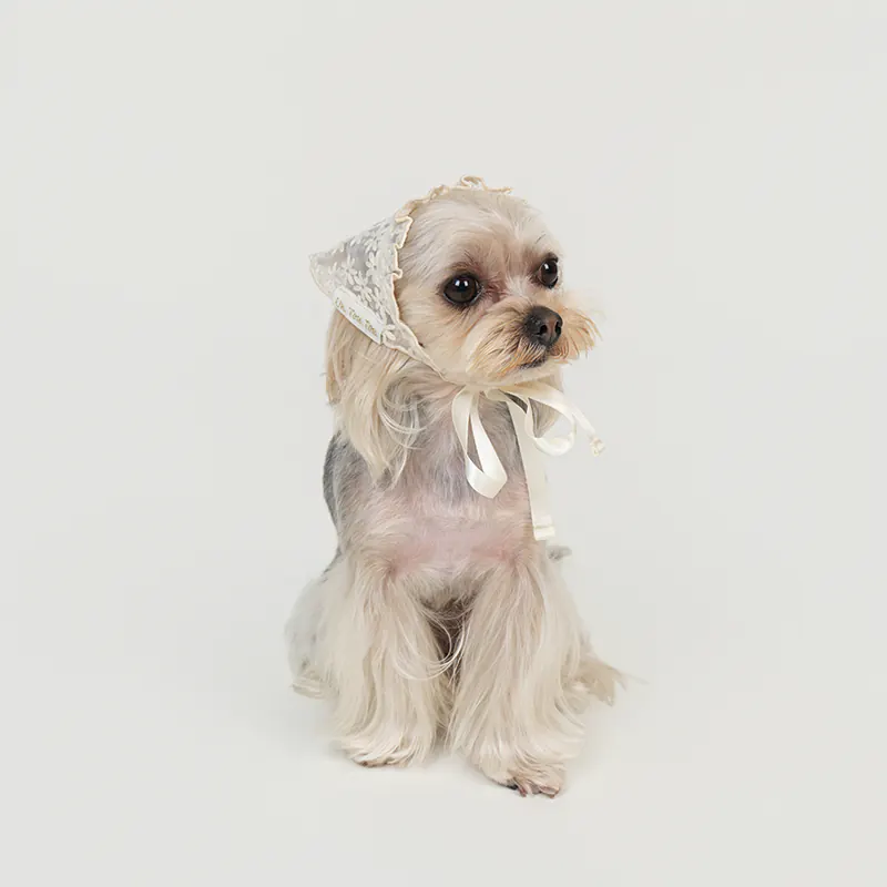 Lace Pet Accessory · UT262148 product view