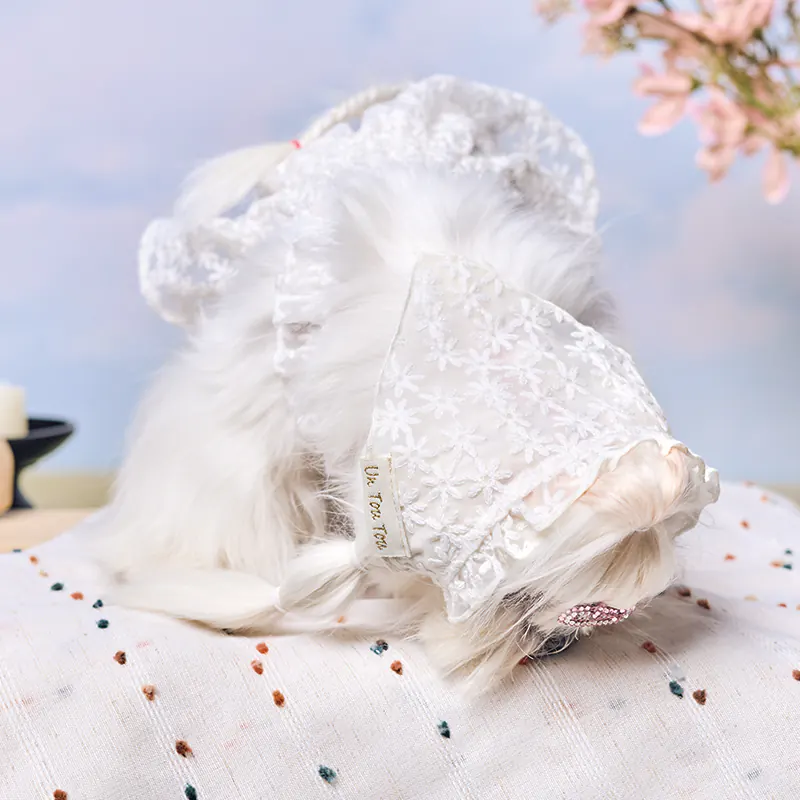 Lace Pet Accessory · UT262148 product view 2
