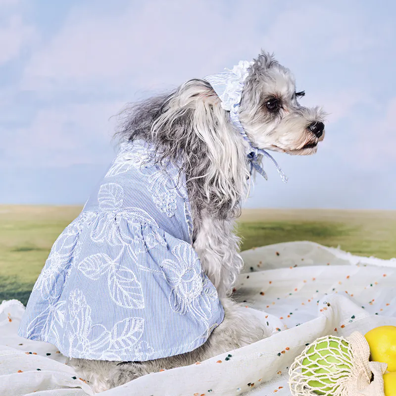 Floral Embroidered Pet Accessory · UT262149 product view