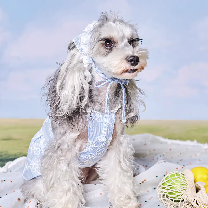 Floral Embroidered Pet Accessory · UT262149 product view 4