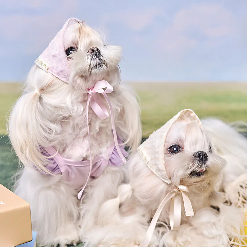 Checked Floral Pet Accessory · UT262171 product view