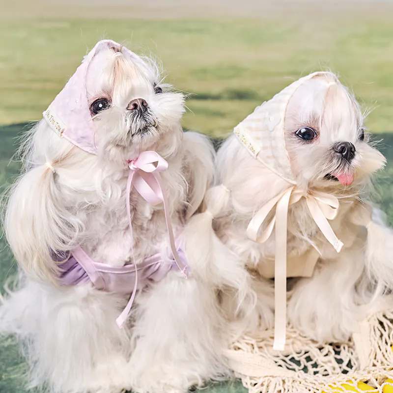 Checked Floral Pet Accessory · UT262171 product view 2