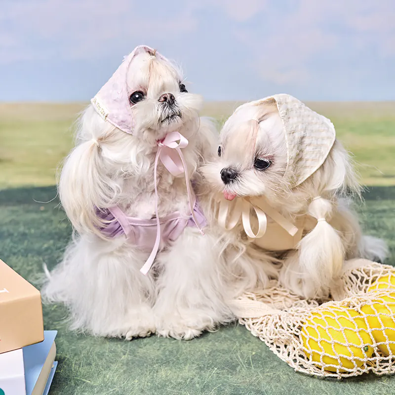 Checked Floral Pet Accessory · UT262171 product view 3