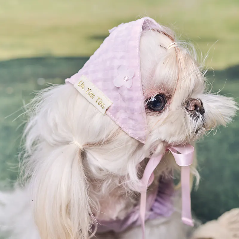 Checked Floral Pet Accessory · UT262171 product view 4
