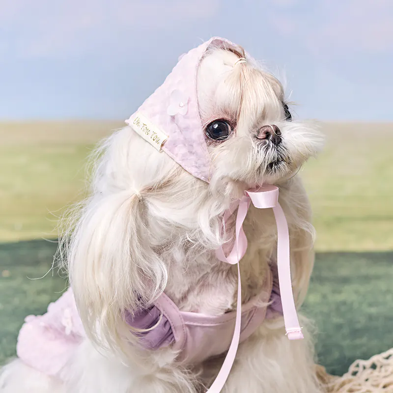 Checked Floral Pet Accessory · UT262171 product view 5