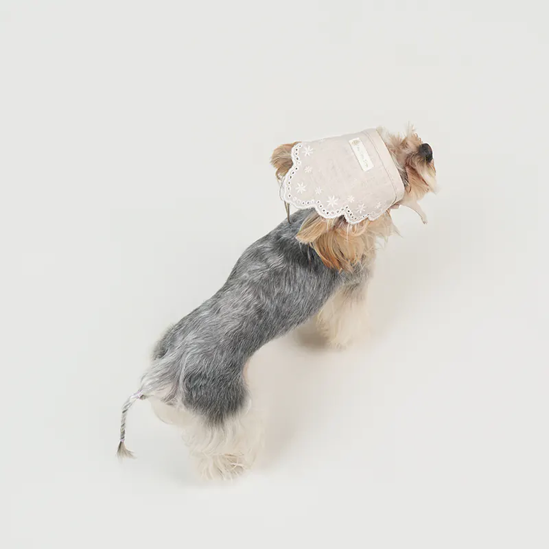 Embroidered Pet Accessory · UT262174 product view