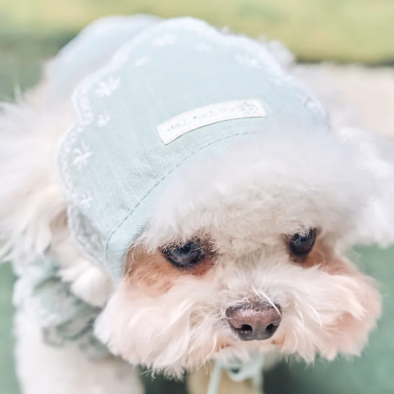 Embroidered Pet Accessory · UT262174 product view 3