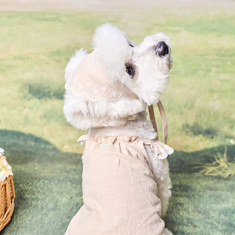 Embroidered Pet Accessory · UT262174 product view 5