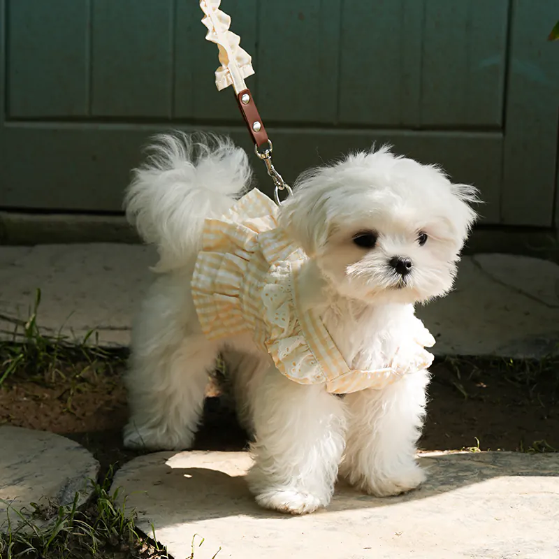 Plaid Ruffle Dog Lead · UT269159 product view 5