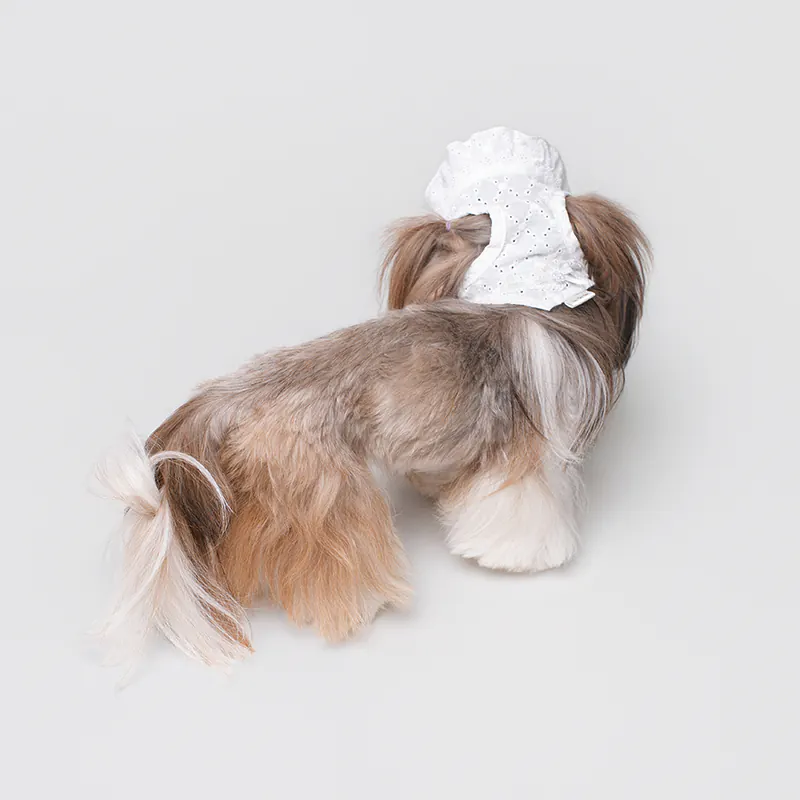 Pet Hat · UT269166 product view