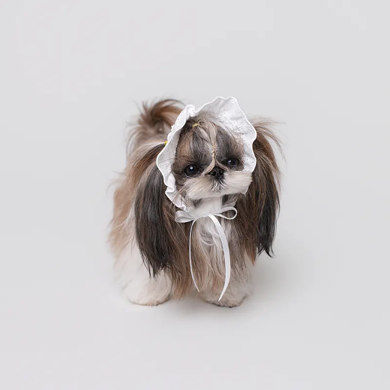Pet Hat · UT269166 product view 2
