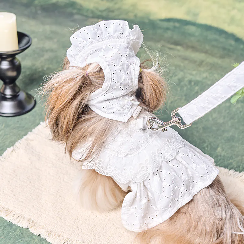 Pet Hat · UT269166 product view 3