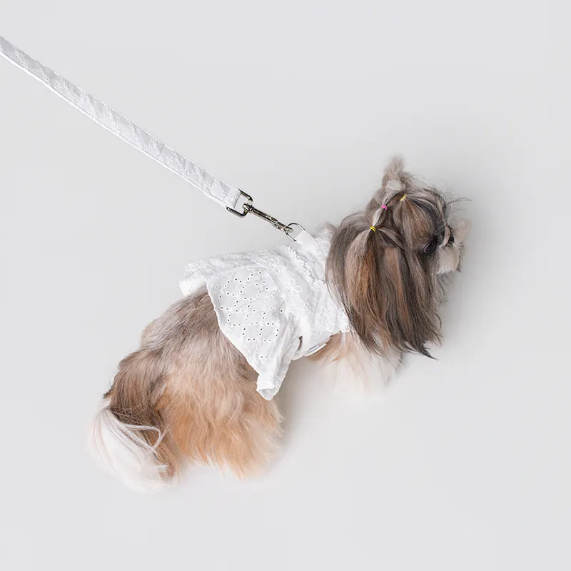 Dog Harness · UT269169 product view 3