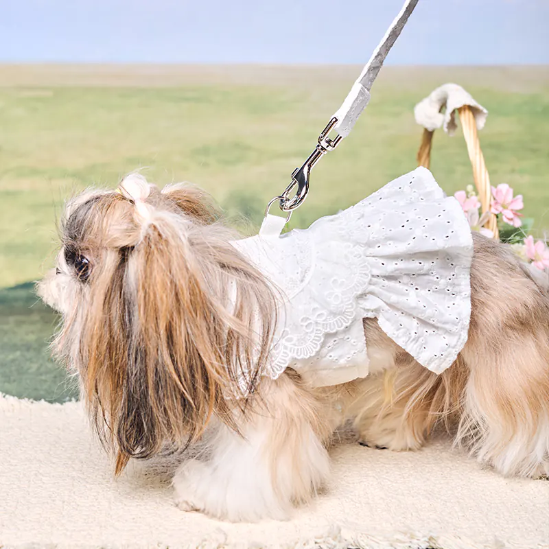 Dog Harness · UT269169 product view 4