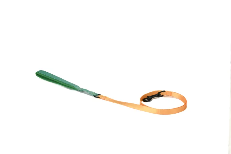 Dog Lead · 50259600