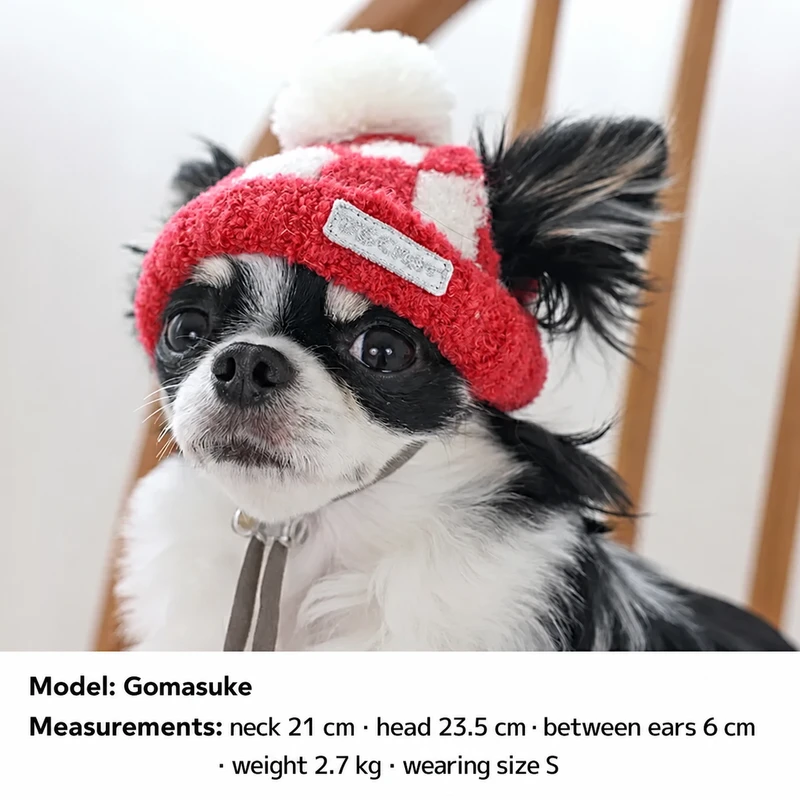 Knit Pet Hat · DS252297 worn by a dog 1