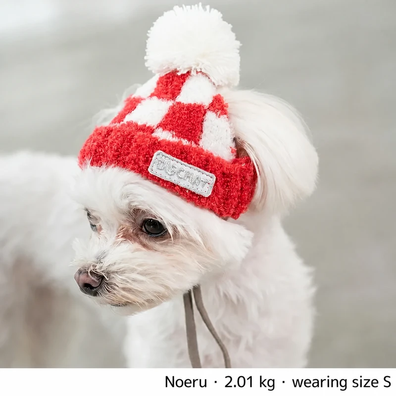 Knit Pet Hat · DS252297 worn by a dog 2